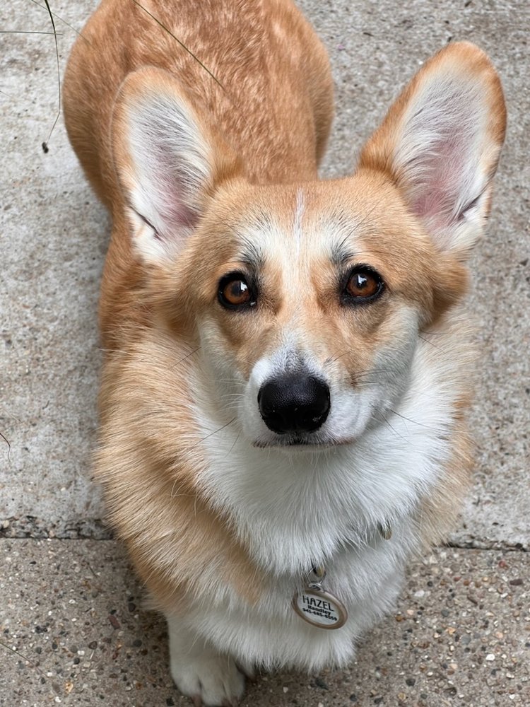 Carolyn H.'s profile image