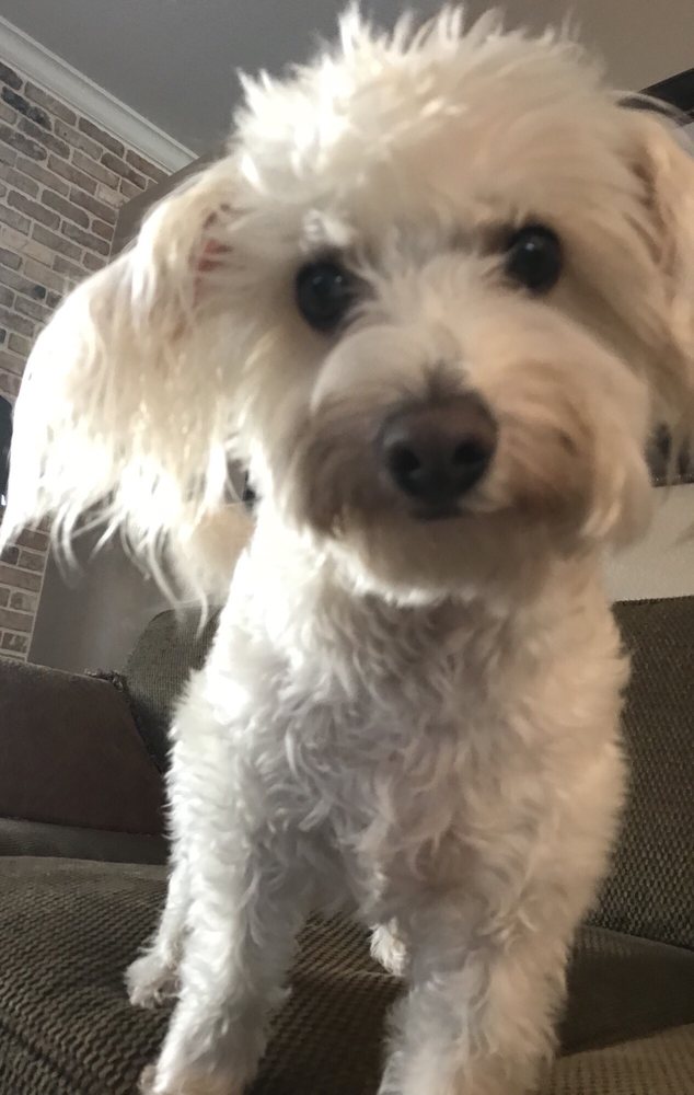 AJ S.'s profile image