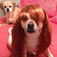 Kelli Jo C.'s profile image