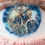 Karen P.'s profile image