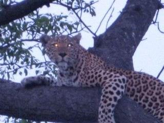 Anthony M.'s profile image