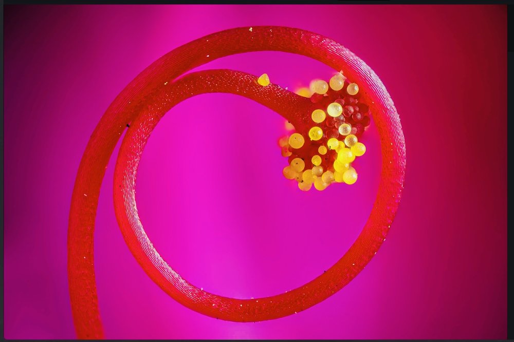 Mona D.'s profile image