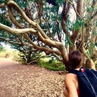 Kym G.'s profile image
