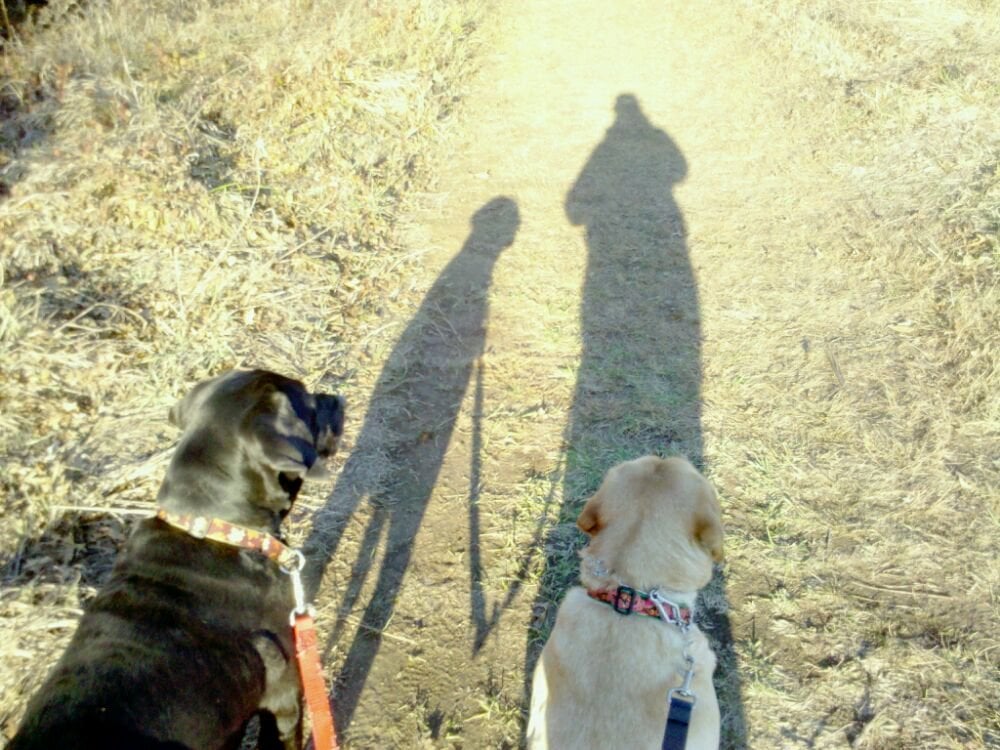 Sarah S.'s profile image