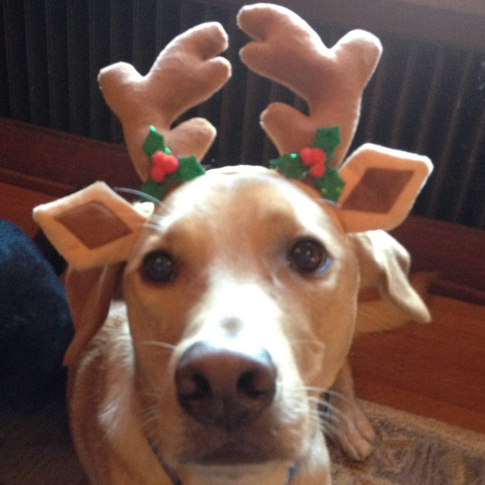 Helga S.'s profile image