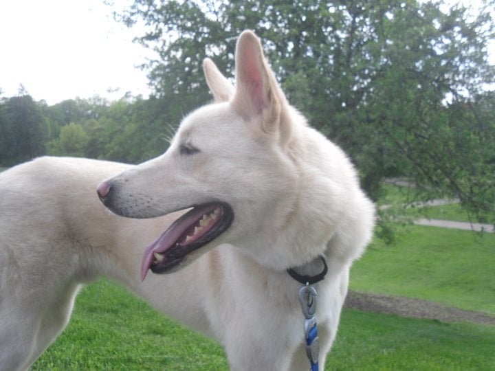 Adam B.'s profile image