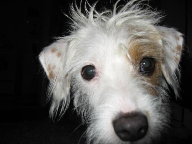 Julia F.'s profile image