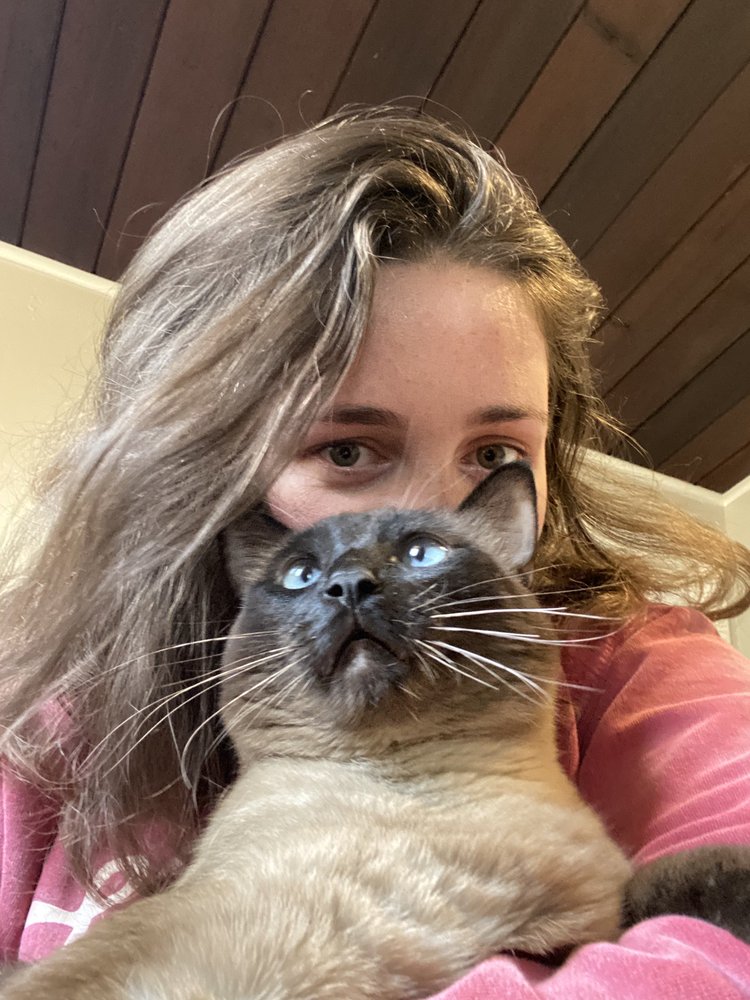 Isobel P.'s profile image