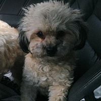 Mary K.'s profile image