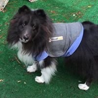 Glenda N.'s profile image