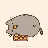 Nhat L.'s profile image