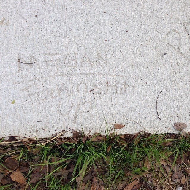 Megan T.'s profile image