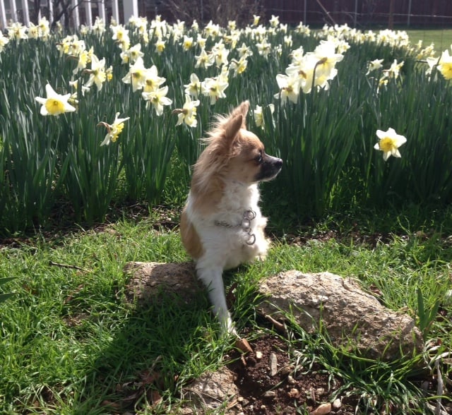 kimberley g.'s profile image