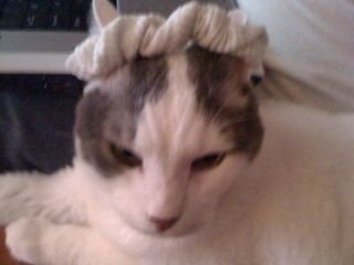 K C.'s profile image