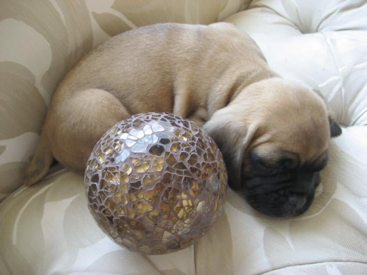 Hazel B.'s profile image