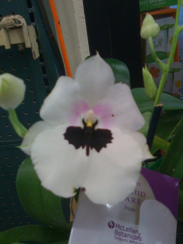 C G.'s profile image