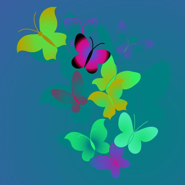 Katie M.'s profile image