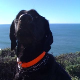 Kevin H.'s profile image