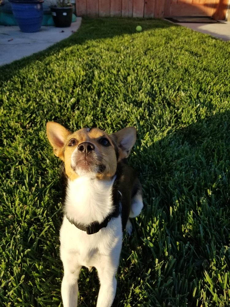 Cindy T.'s profile image