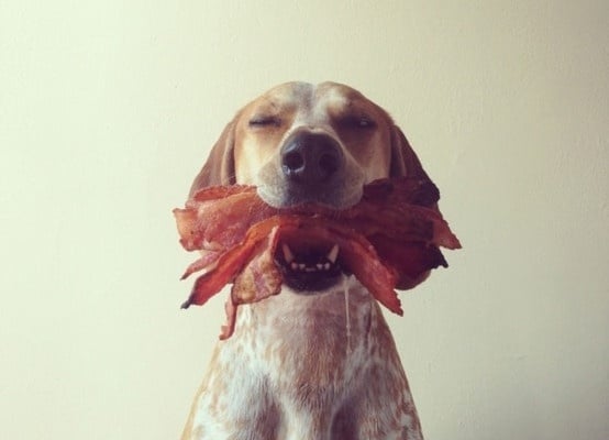Veruca S.'s profile image