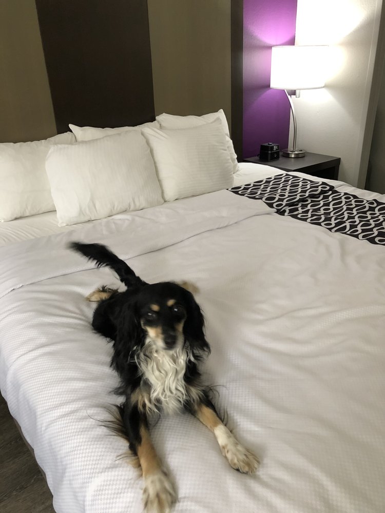 Denise R.'s profile image