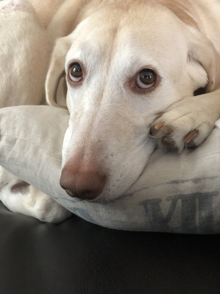Chelsey K.'s profile image