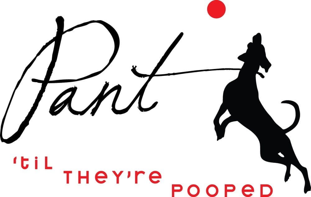Pant SF T.'s profile image