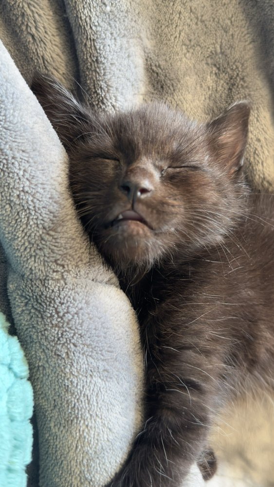 Ann K.'s profile image