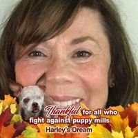 Patricia H.'s profile image