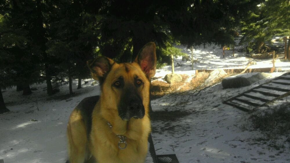 Chris Y.'s profile image