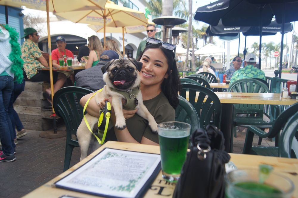 Lauren N.'s profile image