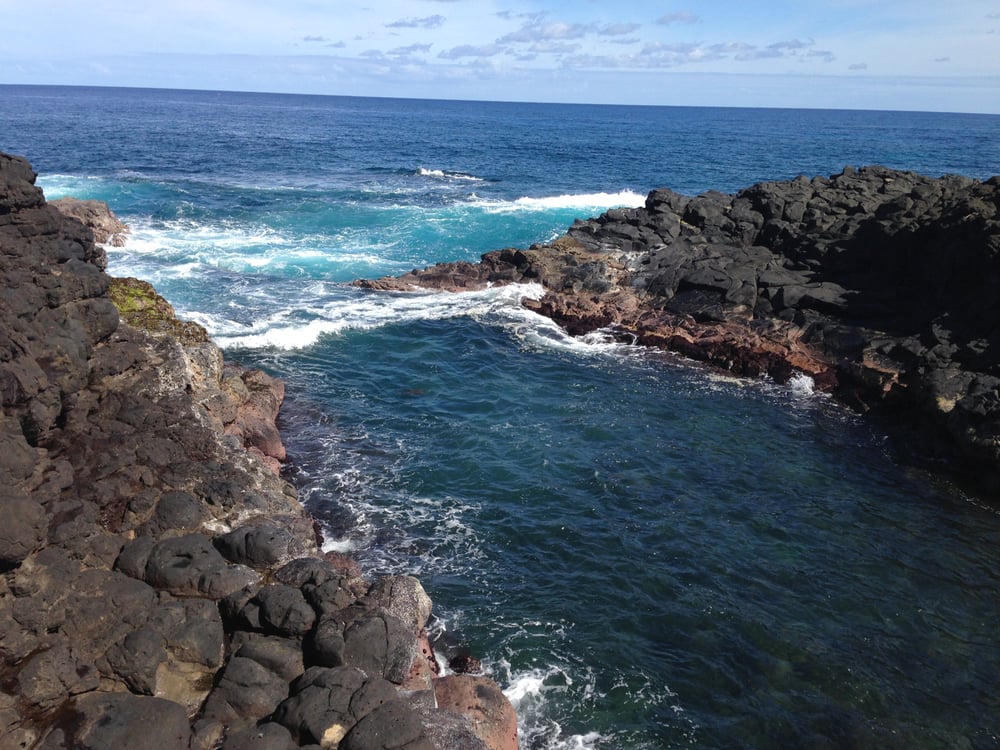 Becky W.'s profile image