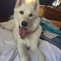 Glenda G.'s profile image