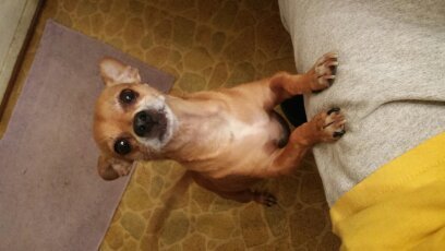 J S.'s profile image