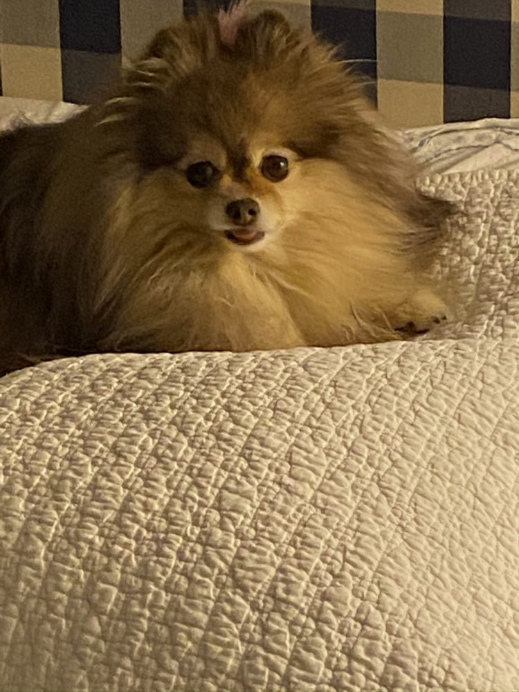 Sandra R.'s profile image