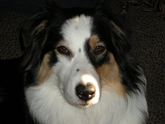 Heather B.'s profile image