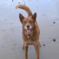 cathy a.'s profile image