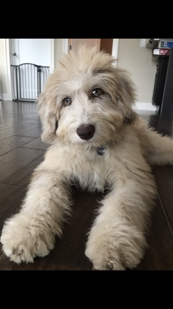 Kayla H.'s profile image