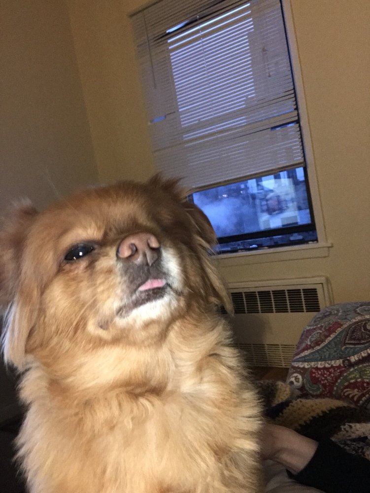 Ali C.'s profile image