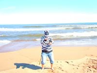 Ying Z.'s profile image