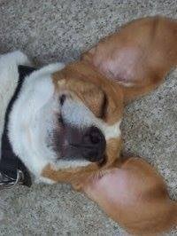 Margaret R.'s profile image