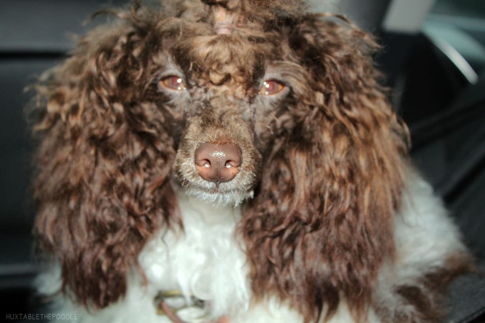 C T.'s profile image