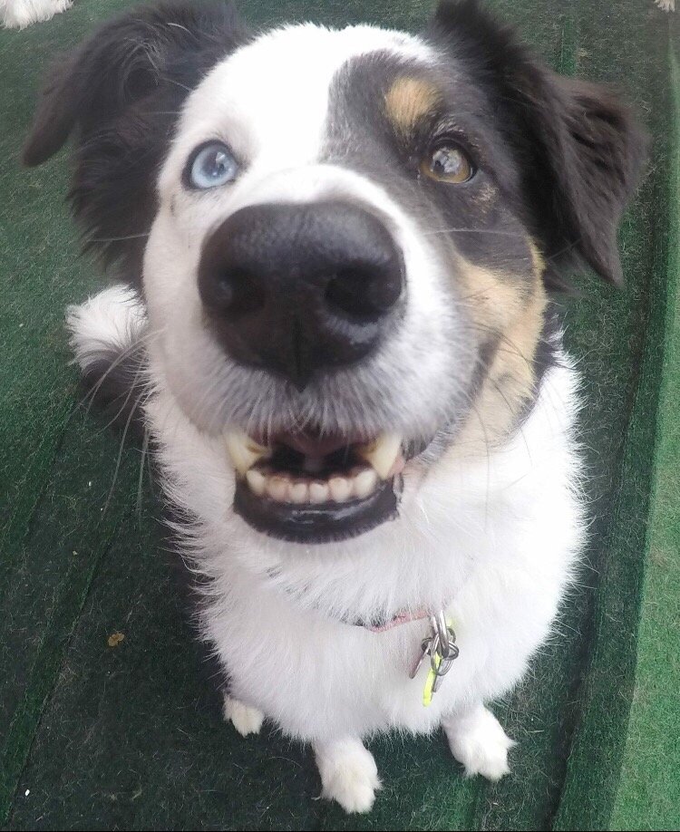 Cherry C.'s profile image