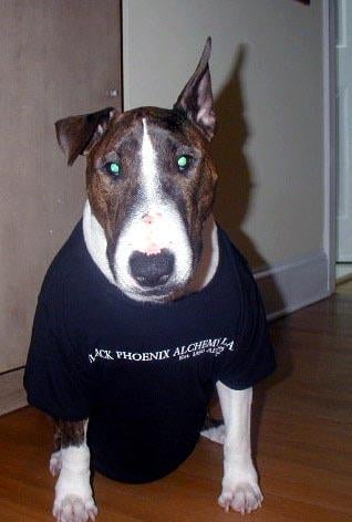 Donna T.'s profile image