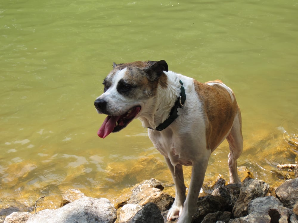 Ace B.'s profile image