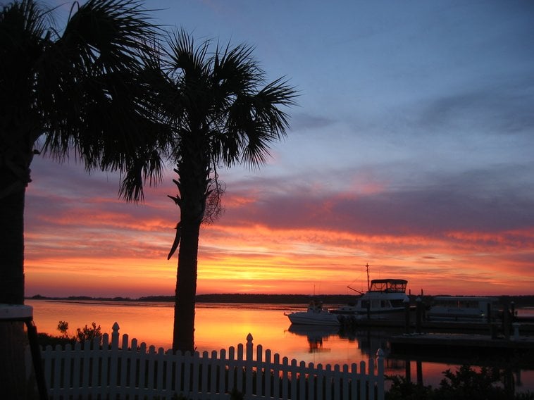 Pat M.'s profile image