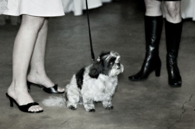 Nicole Y.'s profile image