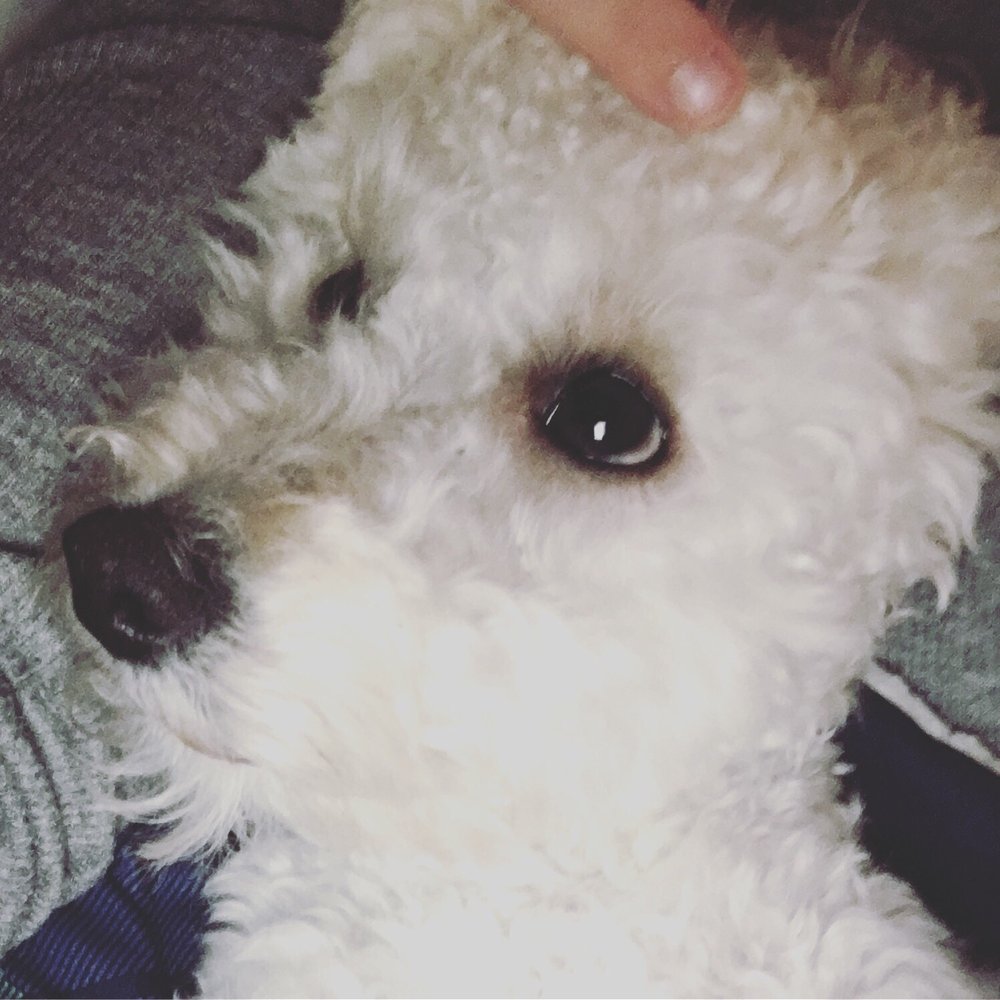 Kathryn P.'s profile image