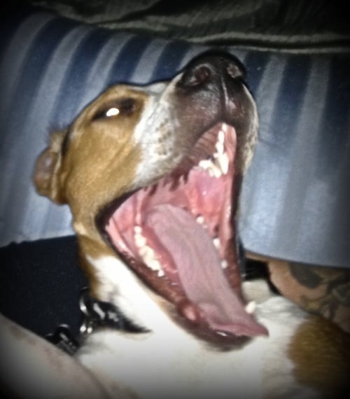 Lynn M.'s profile image