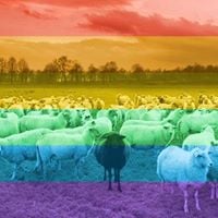 Chris M.'s profile image